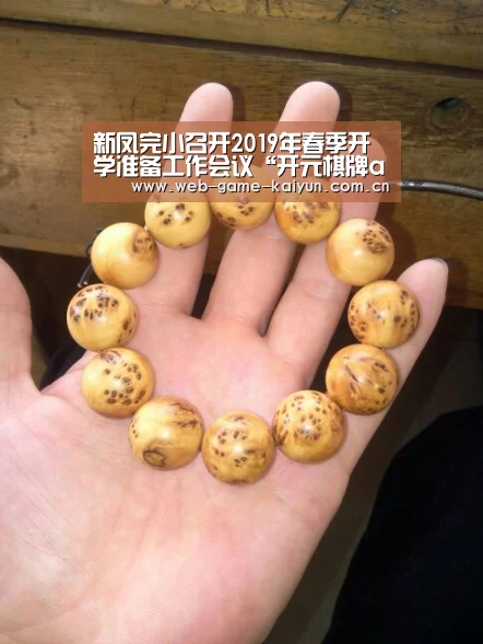 新凤完小召开2019年春季开学准备工作会议“开元棋牌app”(图1) 开元棋牌官方下载