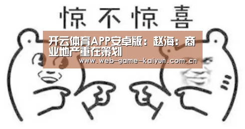 开云体育APP安卓版:赵海:商业地产重在策划(图1) 开元棋牌